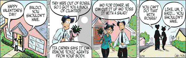 Baldo - Thursday February 14, 2019 Comic Strip