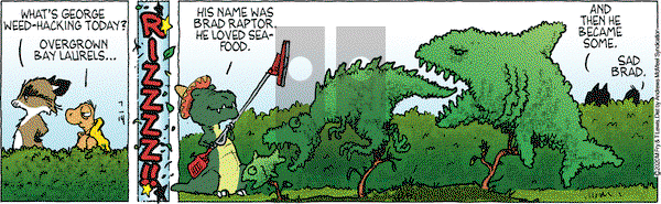 Over the Hedge on Tuesday July 14, 2020 Comic Strip