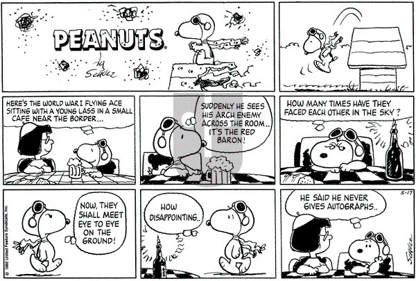 Peanuts - Sunday May 17, 1992 Comic Strip