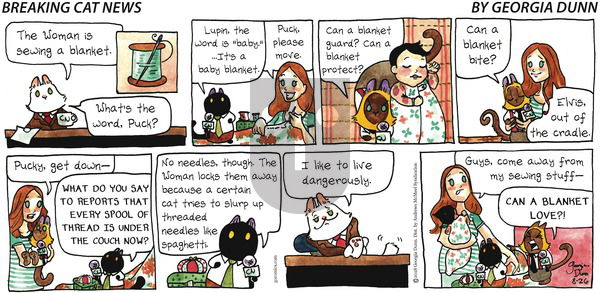 Breaking Cat News on Sunday August 26, 2018 Comic Strip