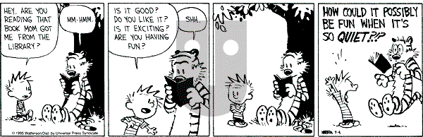 Calvin and Hobbes - Tuesday July 4, 1995 Comic Strip