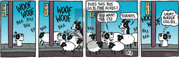 Pooch Cafe - Wednesday December 1, 2004 Comic Strip