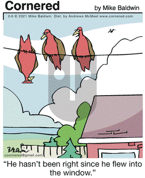 Cornered on Saturday February 6, 2021 Comic Strip