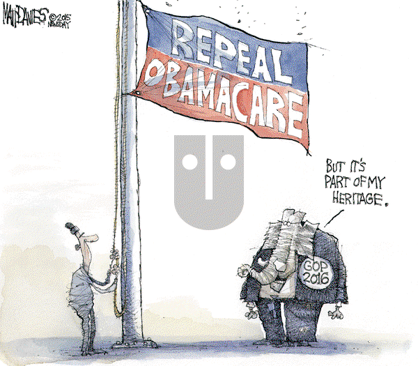 Matt Davies on Friday June 26, 2015 Comic Strip
