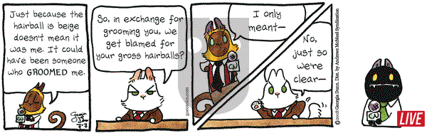 Breaking Cat News on Saturday July 7, 2018 Comic Strip