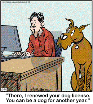 Marmaduke on Thursday June 25, 2020 Comic Strip