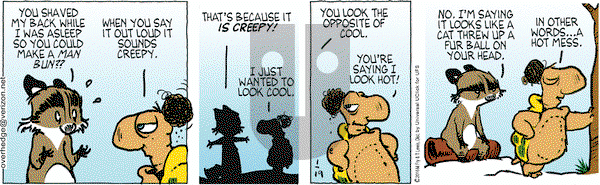 Over the Hedge on Tuesday January 19, 2016 Comic Strip