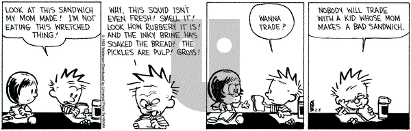 Calvin and Hobbes on Friday February 5, 1993 Comic Strip