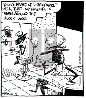 Reality Check on Thursday September 11, 2003 Comic Strip