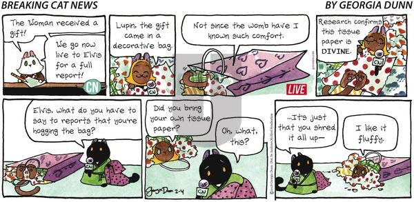 Breaking Cat News on Sunday February 4, 2018 Comic Strip