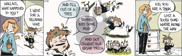 Wallace the Brave - Thursday November 30, 2023 Comic Strip