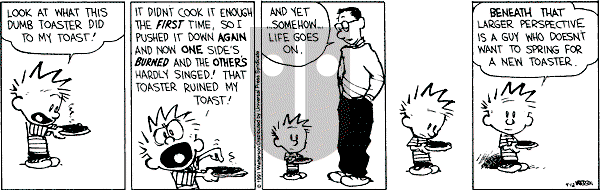 Calvin and Hobbes - Friday April 12, 1991 Comic Strip