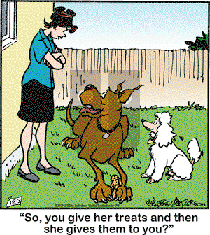 Marmaduke on Tuesday December 3, 2019 Comic Strip