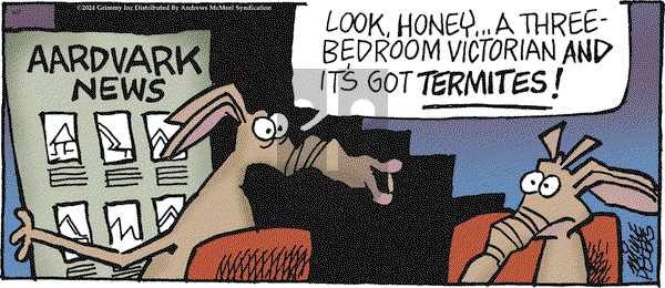 Mother Goose and Grimm - Friday June 7, 2024 Comic Strip