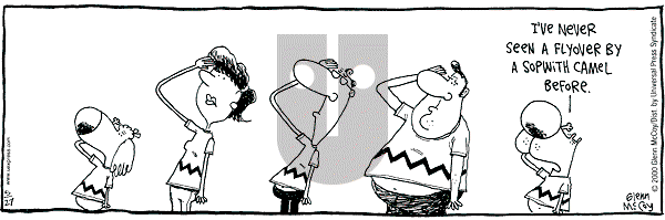 The Duplex on Saturday May 27, 2000 Comic Strip