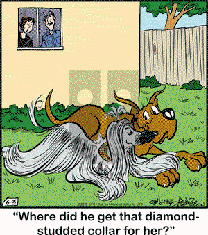 Marmaduke on Friday June 3, 2016 Comic Strip
