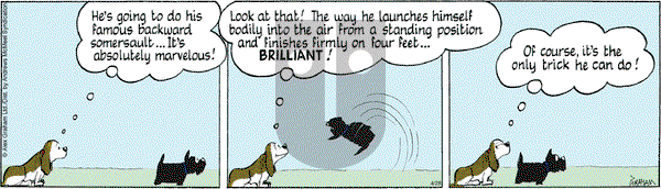 Fred Basset on Monday April 28, 2025 Comic Strip