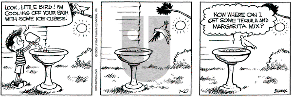 Grand Avenue on Sunday July 31, 2005 Comic Strip
