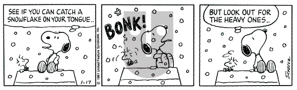 Peanuts on Thursday January 17, 1991 Comic Strip