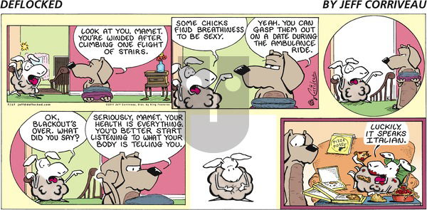 DeFlocked on Sunday July 17, 2011 Comic Strip