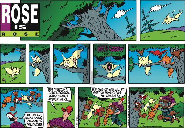 Rose is Rose on Sunday July 2, 2017 Comic Strip