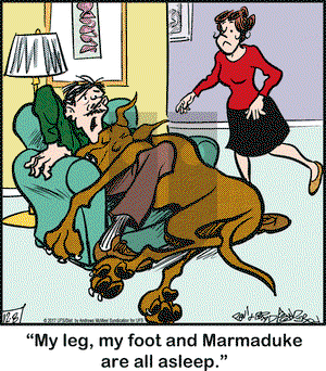 Marmaduke on Friday December 8, 2017 Comic Strip