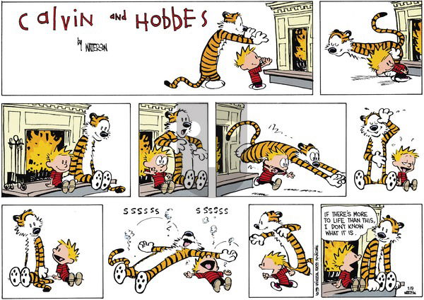 Calvin and Hobbes on Sunday February 25, 1990 Comic Strip
