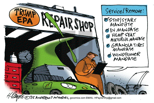 Henry Payne - Monday May 19, 2025 Comic Strip