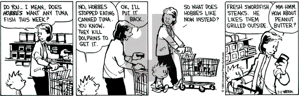 Calvin and Hobbes on Monday March 12, 1990 Comic Strip