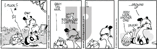 Over the Hedge on Monday May 26, 2003 Comic Strip