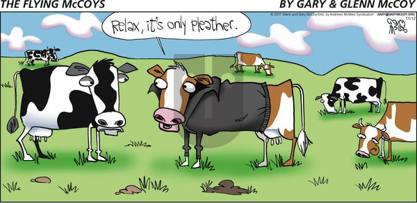 The Flying McCoys on Sunday November 12, 2017 Comic Strip