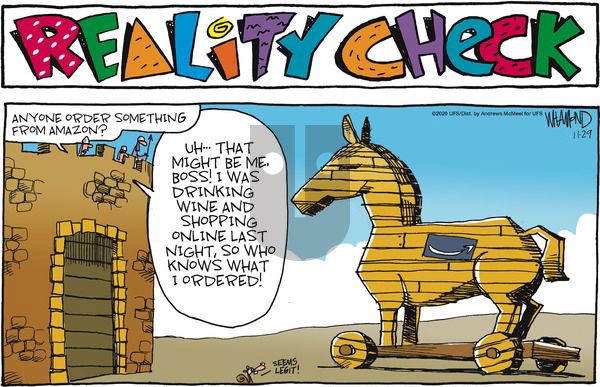 Reality Check on Sunday November 29, 2020 Comic Strip