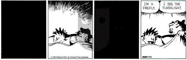 Calvin and Hobbes on Monday August 21, 1995 Comic Strip