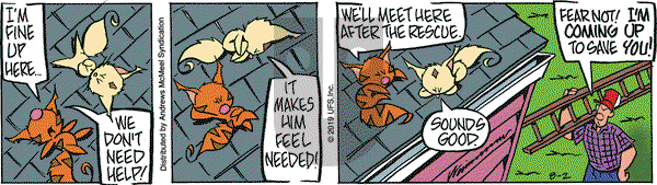 Rose is Rose on Friday August 2, 2019 Comic Strip