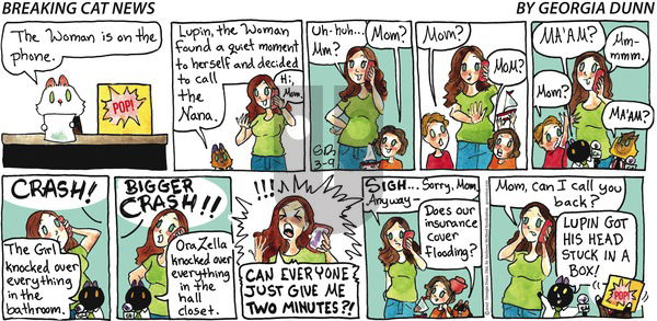 Breaking Cat News on Sunday March 9, 2025 Comic Strip