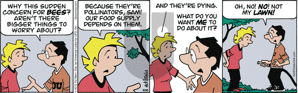 Freshly Squeezed - Thursday June 11, 2020 Comic Strip