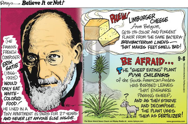 Ripley's Believe It or Not on Sunday September 8, 2013 Comic Strip