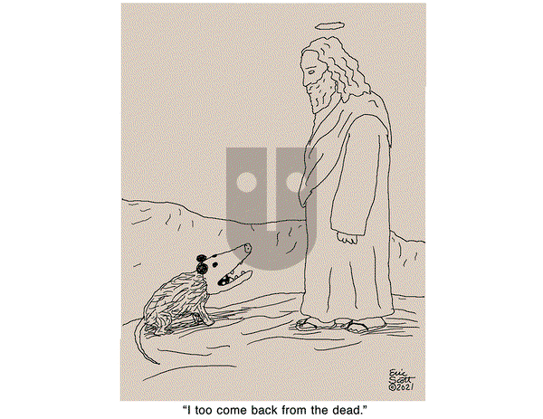 1 and Done - Friday April 9, 2021 Comic Strip