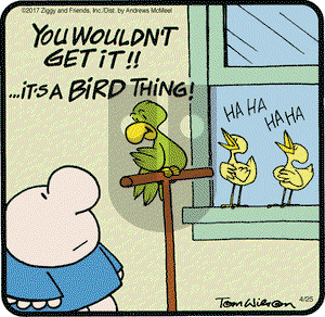 Ziggy on Tuesday April 25, 2017 Comic Strip