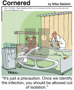 Cornered on Wednesday August 31, 2016 Comic Strip