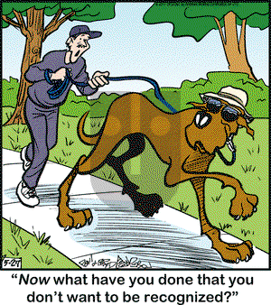 Marmaduke on Saturday May 27, 2017 Comic Strip