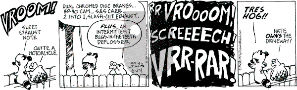 Over the Hedge on Monday June 24, 1996 Comic Strip