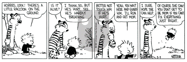Calvin and Hobbes on Monday March 9, 1987 Comic Strip