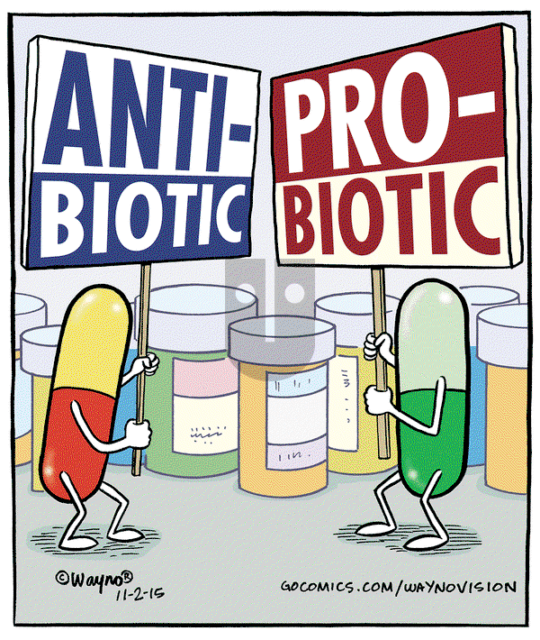 WaynoVision on Monday November 2, 2015 Comic Strip