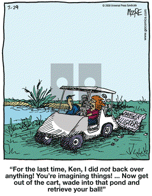 In the Bleachers on Tuesday July 29, 2008 Comic Strip