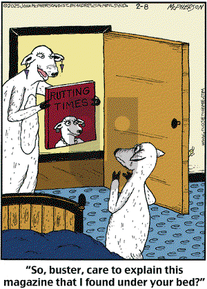 Close to Home on Saturday February 8, 2025 Comic Strip