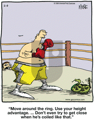 In the Bleachers on Wednesday February 6, 2008 Comic Strip