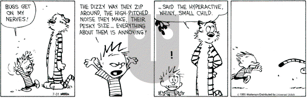 Calvin and Hobbes on Friday July 31, 2015 Comic Strip