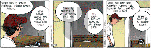 Get Fuzzy on Tuesday July 4, 2006 Comic Strip