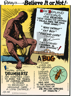 Ripley's Believe It or Not on Tuesday October 14, 2008 Comic Strip